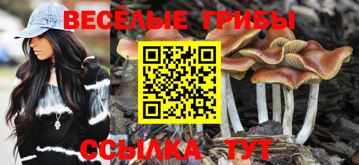 Галлюциногенные грибы Magic Shrooms  Вход с VPN  цена   Галлюциногенные грибы Psilocybine cubensis  Саянск 
